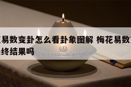 梅花易数变卦怎么看卦象图解 梅花易数变卦是最终结果吗