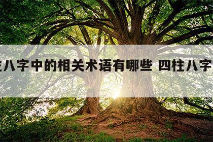 四柱八字中的相关术语有哪些 四柱八字的用法