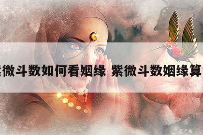 紫微斗数如何看姻缘 紫微斗数姻缘算命