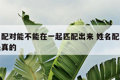 姓名配对能不能在一起匹配出来 姓名配对是不是真的
