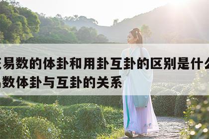 梅花易数的体卦和用卦互卦的区别是什么 梅花易数体卦与互卦的关系