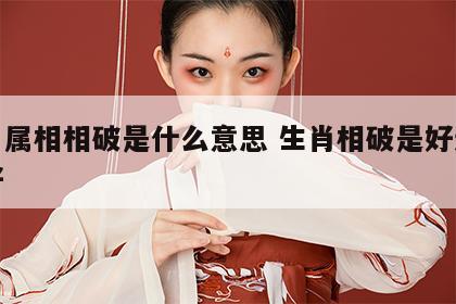 生肖属相相破是什么意思 生肖相破是好还是不好