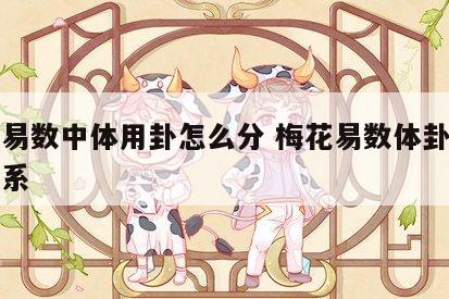 梅花易数中体用卦怎么分 梅花易数体卦和用卦关系