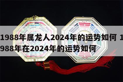 1988年属龙人2024年的运势如何 1988年在2024年的运势如何
