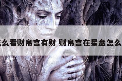 怎么看财帛宫有财 财帛宫在星盘怎么看
