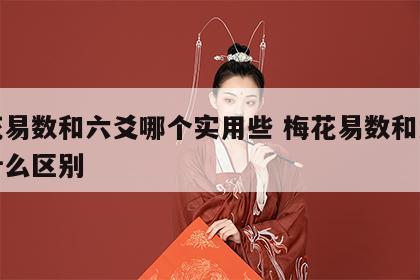 梅花易数和六爻哪个实用些 梅花易数和六爻有什么区别