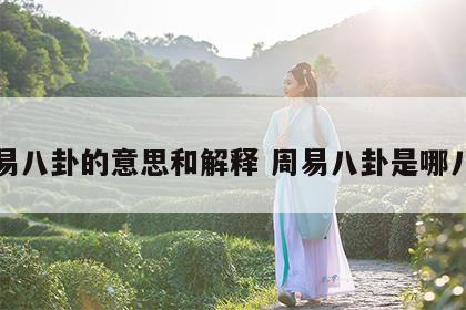 周易八卦的意思和解释 周易八卦是哪八卦