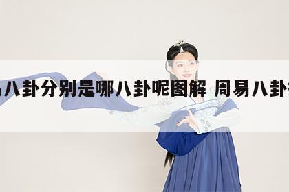 周易八卦分别是哪八卦呢图解 周易八卦指什么