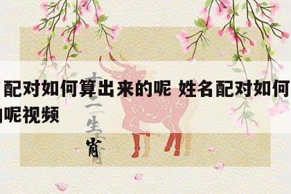 姓名配对如何算出来的呢 姓名配对如何算出来的呢视频