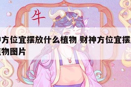 财神方位宜摆放什么植物 财神方位宜摆放什么植物图片