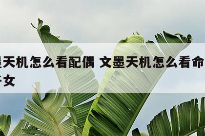 文墨天机怎么看配偶 文墨天机怎么看命中几个子女