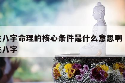 四柱八字命理的核心条件是什么意思啊 何为四柱八字