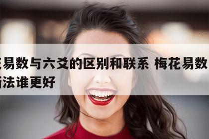 梅花易数与六爻的区别和联系 梅花易数与六爻断法谁更好