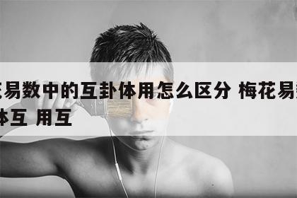 梅花易数中的互卦体用怎么区分 梅花易数互卦 体互 用互