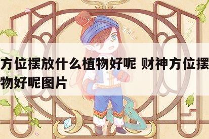 财神方位摆放什么植物好呢 财神方位摆放什么植物好呢图片