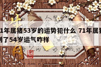 71年属猪53岁的运势犯什么 71年属猪到了54岁运气咋样