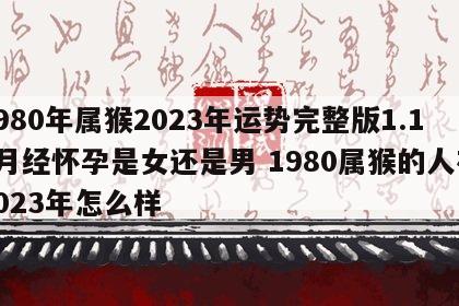 1980年属猴2023年运势完整版1.10月经怀孕是女还是男 1980属猴的人在2023年怎么样