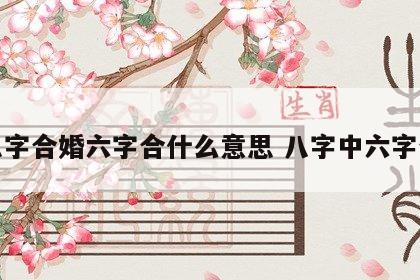八字合婚六字合什么意思 八字中六字合