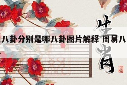 周易八卦分别是哪八卦图片解释 周易八卦指什么