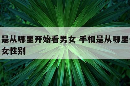 手相是从哪里开始看男女 手相是从哪里开始看男女性别