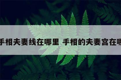 手相夫妻线在哪里 手相的夫妻宫在哪