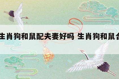 12生肖狗和鼠配夫妻好吗 生肖狗和鼠合适吗