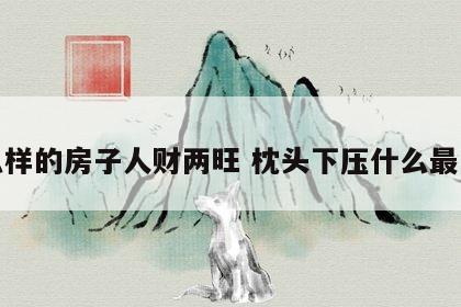什么样的房子人财两旺 枕头下压什么最发财