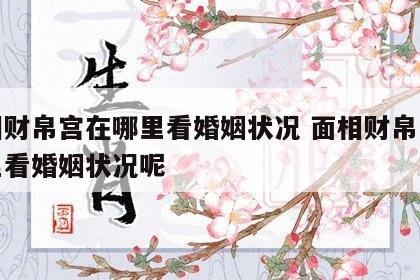 面相财帛宫在哪里看婚姻状况 面相财帛宫在哪里看婚姻状况呢