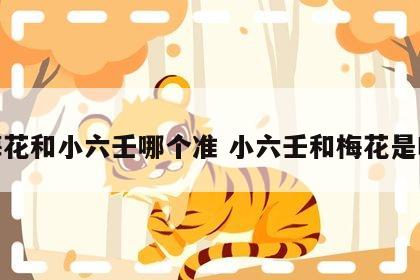 梅花和小六壬哪个准 小六壬和梅花是啥