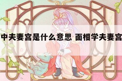面相中夫妻宫是什么意思 面相学夫妻宫的看法