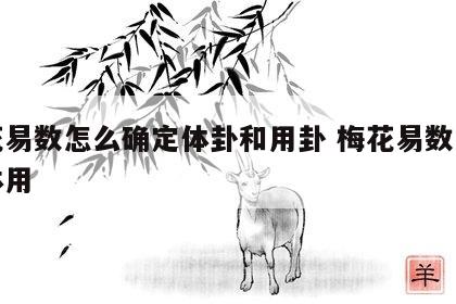 梅花易数怎么确定体卦和用卦 梅花易数怎么看体用
