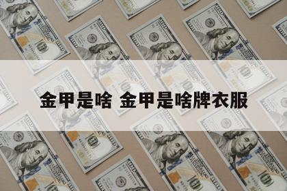 金甲是啥 金甲是啥牌衣服