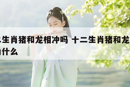 十二生肖猪和龙相冲吗 十二生肖猪和龙相冲吗为什么