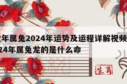 龙年属兔2024年运势及运程详解视频 2024年属兔龙的是什么命