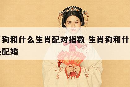 生肖狗和什么生肖配对指数 生肖狗和什么生肖最配婚