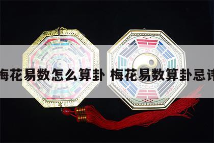 梅花易数怎么算卦 梅花易数算卦忌讳