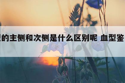 血型的主侧和次侧是什么区别呢 血型鉴定主侧