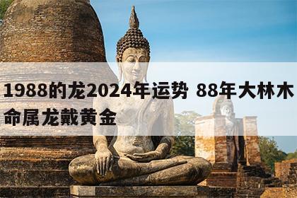 1988的龙2024年运势 88年大林木命属龙戴黄金