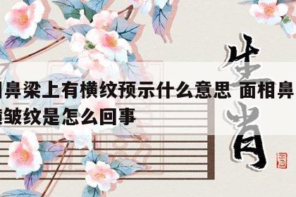 面相鼻梁上有横纹预示什么意思 面相鼻梁上有横皱纹是怎么回事