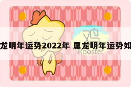 属龙明年运势2022年 属龙明年运势如何
