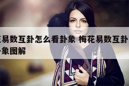 梅花易数互卦怎么看卦象 梅花易数互卦怎么看卦象图解