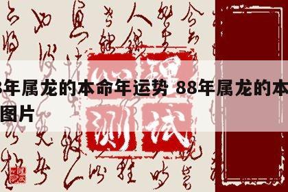 88年属龙的本命年运势 88年属龙的本命佛图片