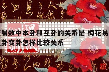 梅花易数中本卦和互卦的关系是 梅花易数本卦互卦变卦怎样比较关系