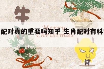 生肖配对真的重要吗知乎 生肖配对有科学依据吗
