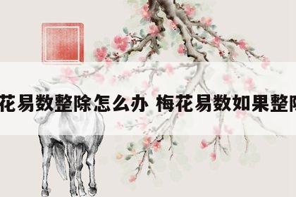 梅花易数整除怎么办 梅花易数如果整除6