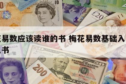 梅花易数应该读谁的书 梅花易数基础入门看什么书