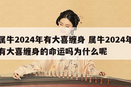 属牛2024年有大喜缠身 属牛2024年有大喜缠身的命运吗为什么呢