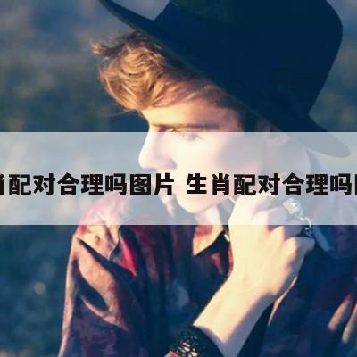 生肖配对合理吗图片 生肖配对合理吗图片