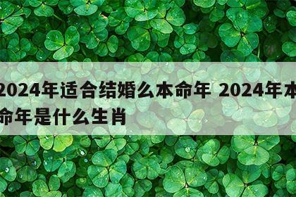 2024年适合结婚么本命年 2024年本命年是什么生肖