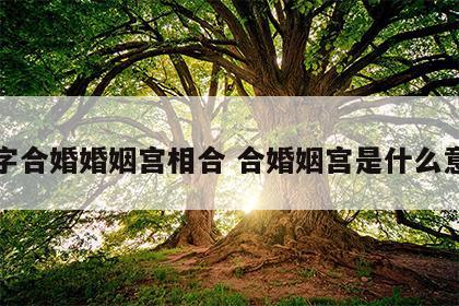 八字合婚婚姻宫相合 合婚姻宫是什么意思